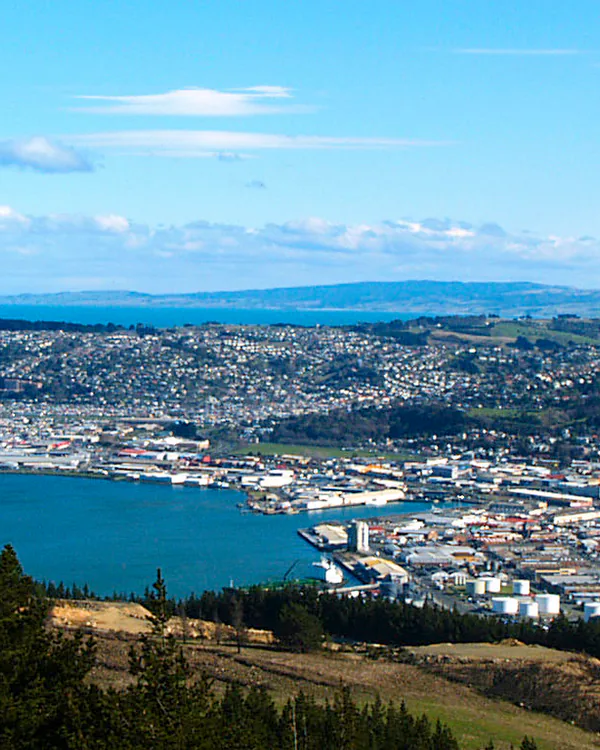 Dunedin