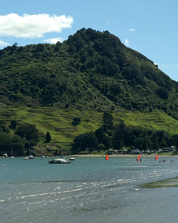 Tauranga